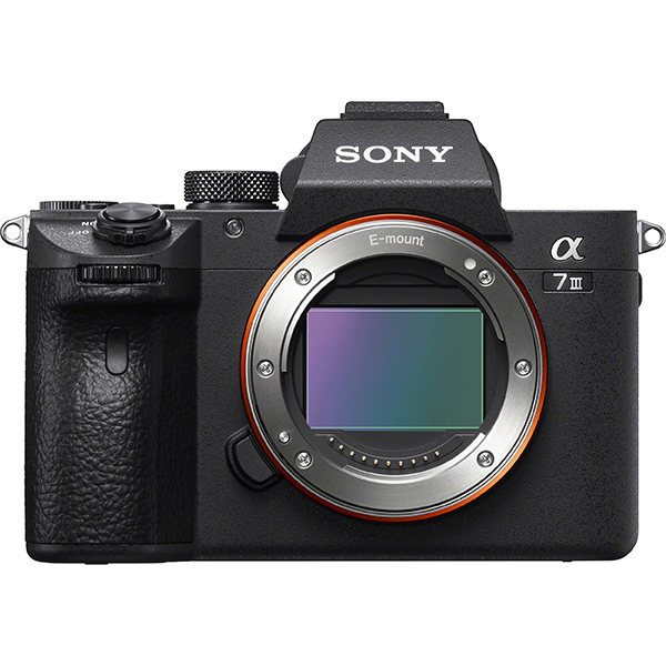 Sony a7iii for real estate photography