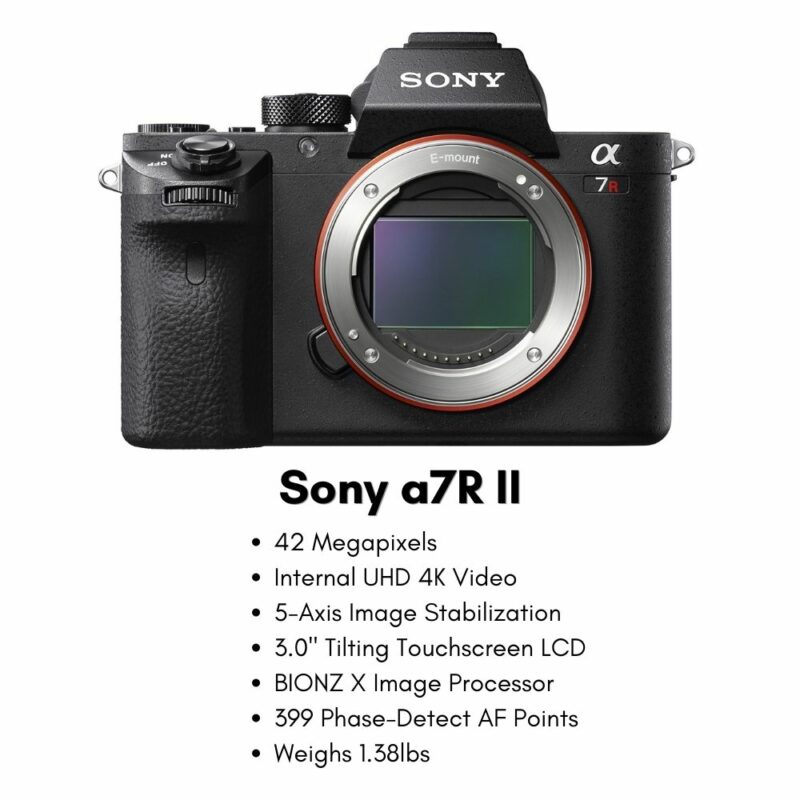 best sony camera for real estate photography