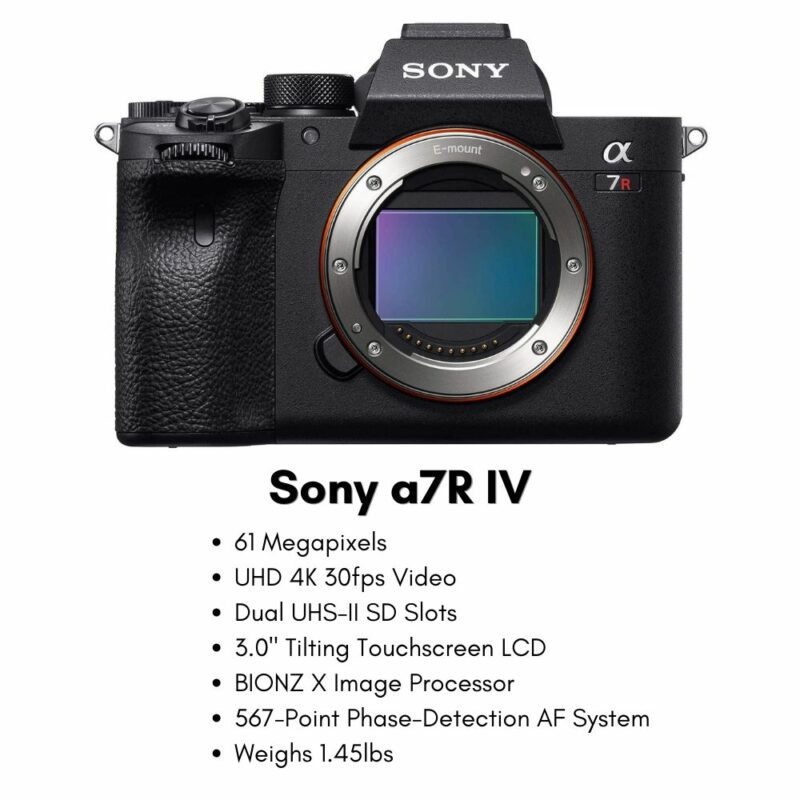 best sony camera for real estate photography